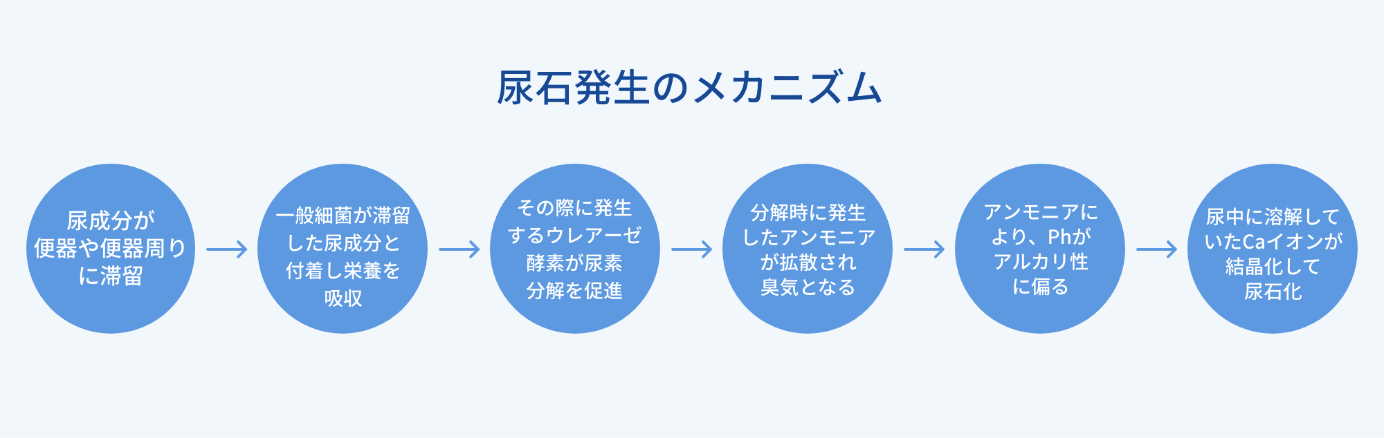 尿石発生のメカニズム