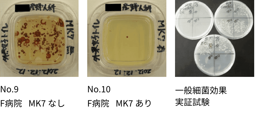 一般細菌効果実証試験