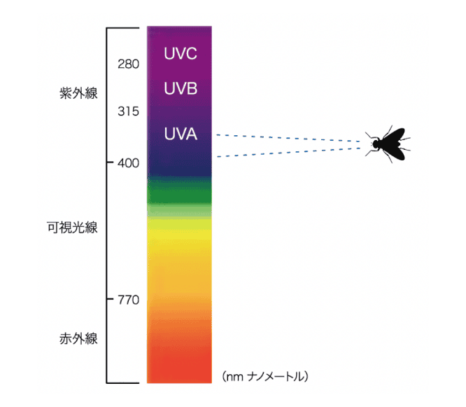 紫外線と誘引の機能性のイメージ